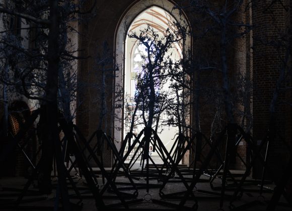 Gardens of Maturity – on Maciej Aleksandrowicz’s installation in the nave and presbytery of Galeria EL Art Centre
