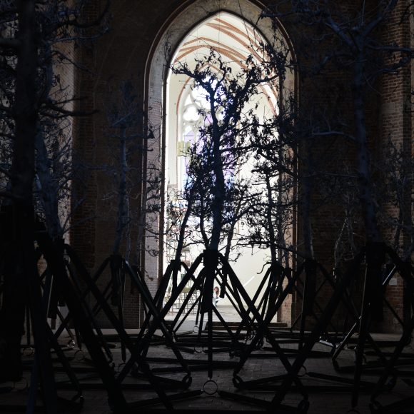 Gardens of Maturity – on Maciej Aleksandrowicz’s installation in the nave and presbytery of Galeria EL Art Centre
